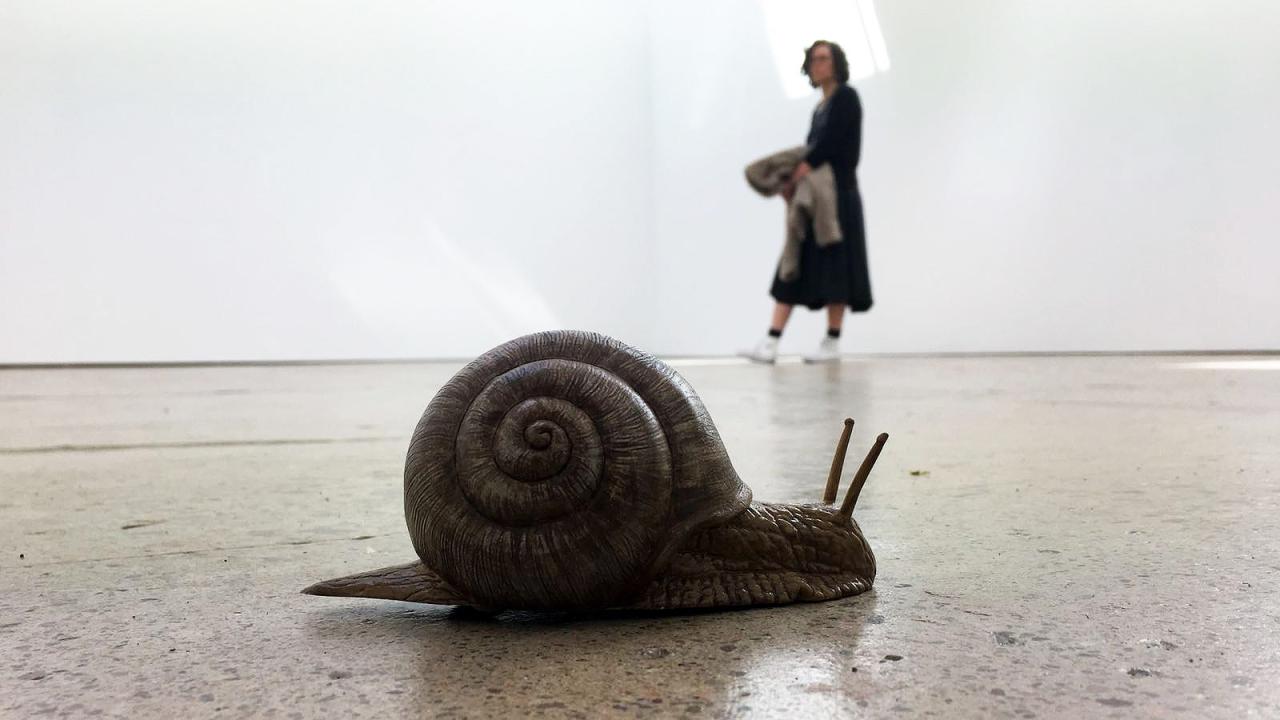 Snail in Museum