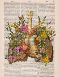 An Anatomical Drawing of a Heart over a Dictionary Page