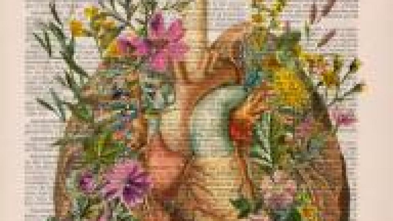 a artistic drawing of an anatomical heart over a page of text.